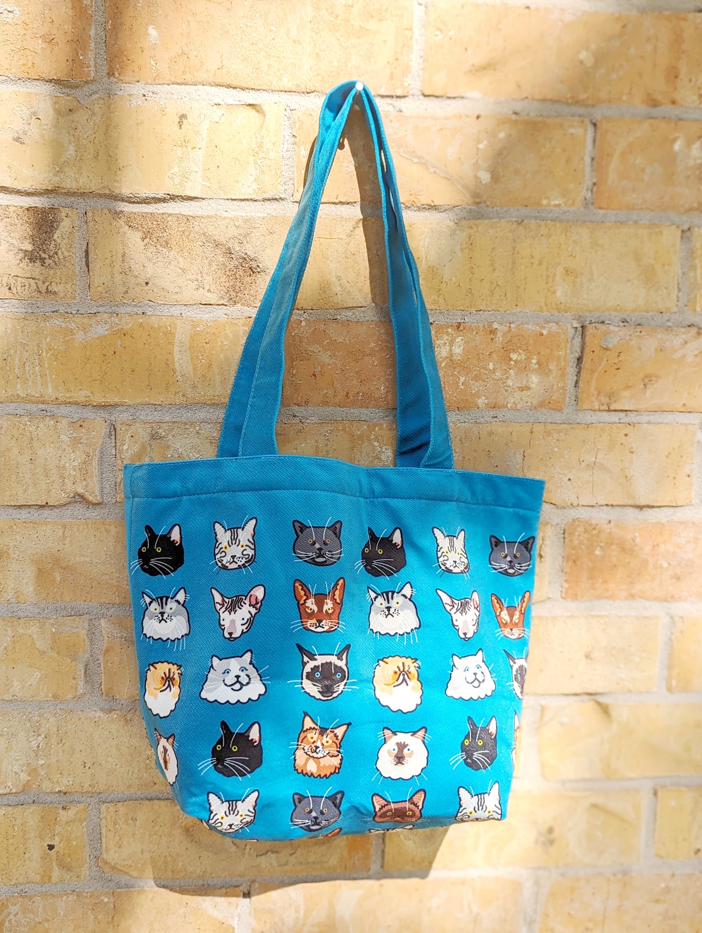 Dog and Cat Tote Bag
