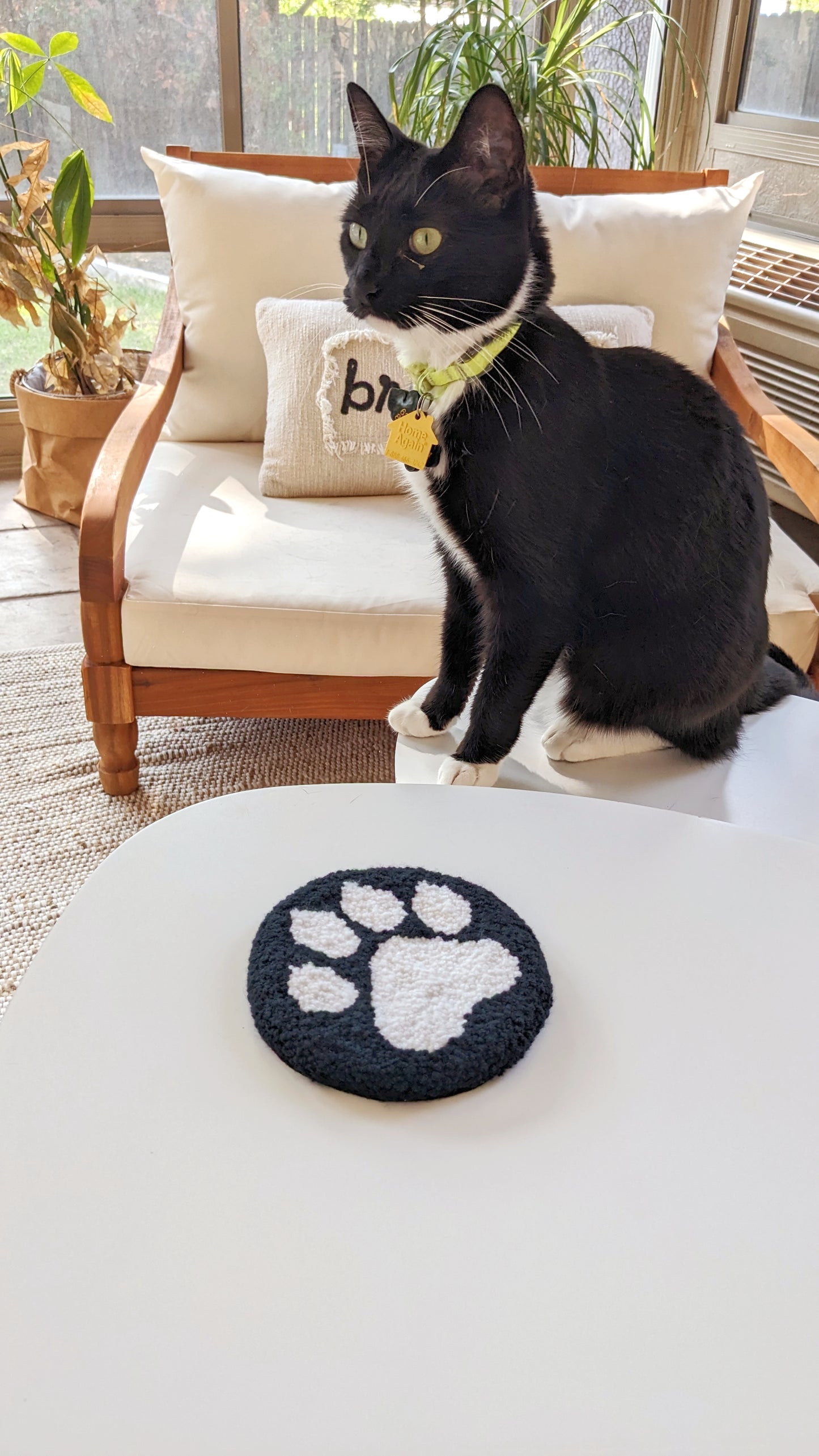 Paw coaster DIY_Digital_ Punch needle kit