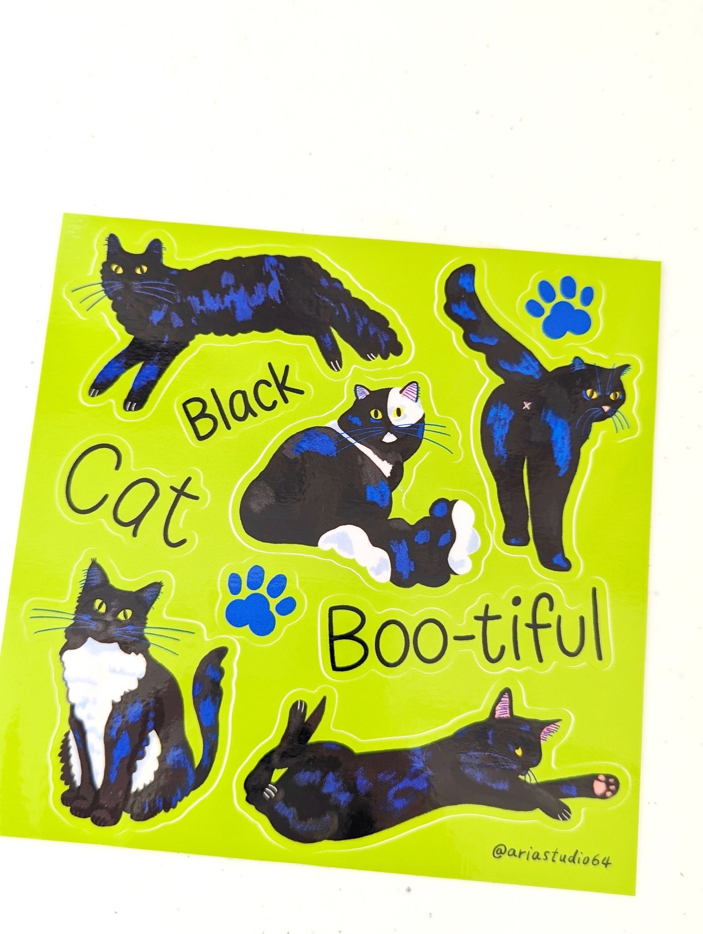 Black cat beautiful