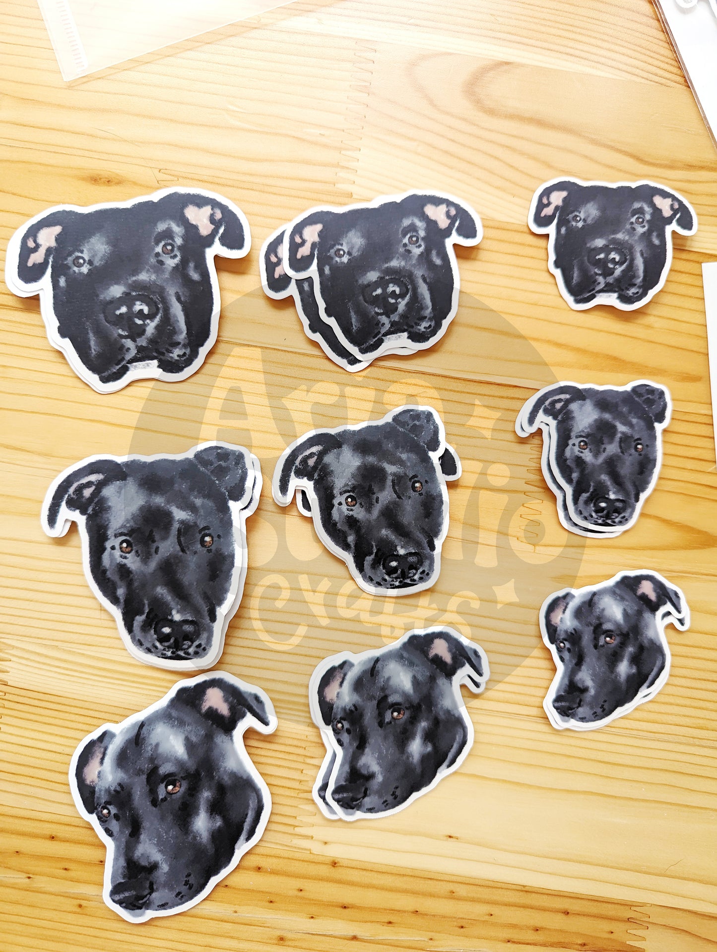Custom Pet Stickers