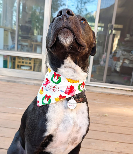 Christmas season Pet Bandana