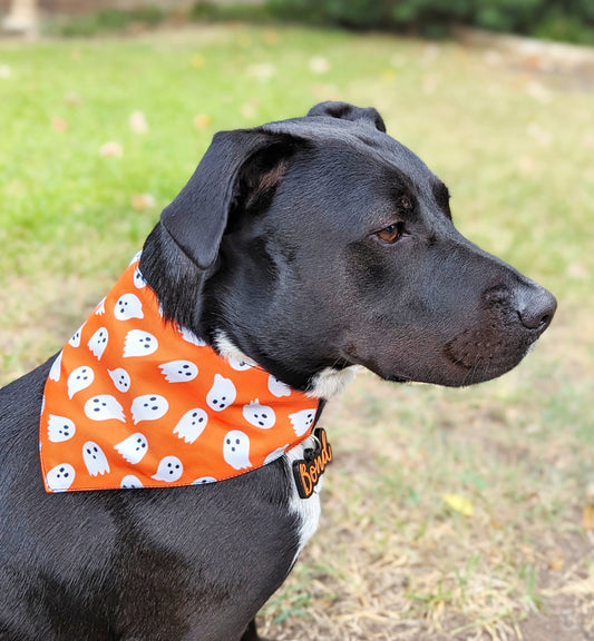 Halloween Dog Bandana – Double-Sided, Waterproof, Adjustable Buckle | Ghost Pattern