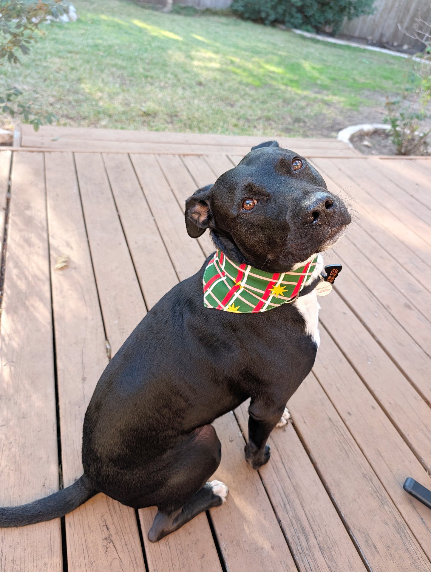 Christmas season Pet Bandana