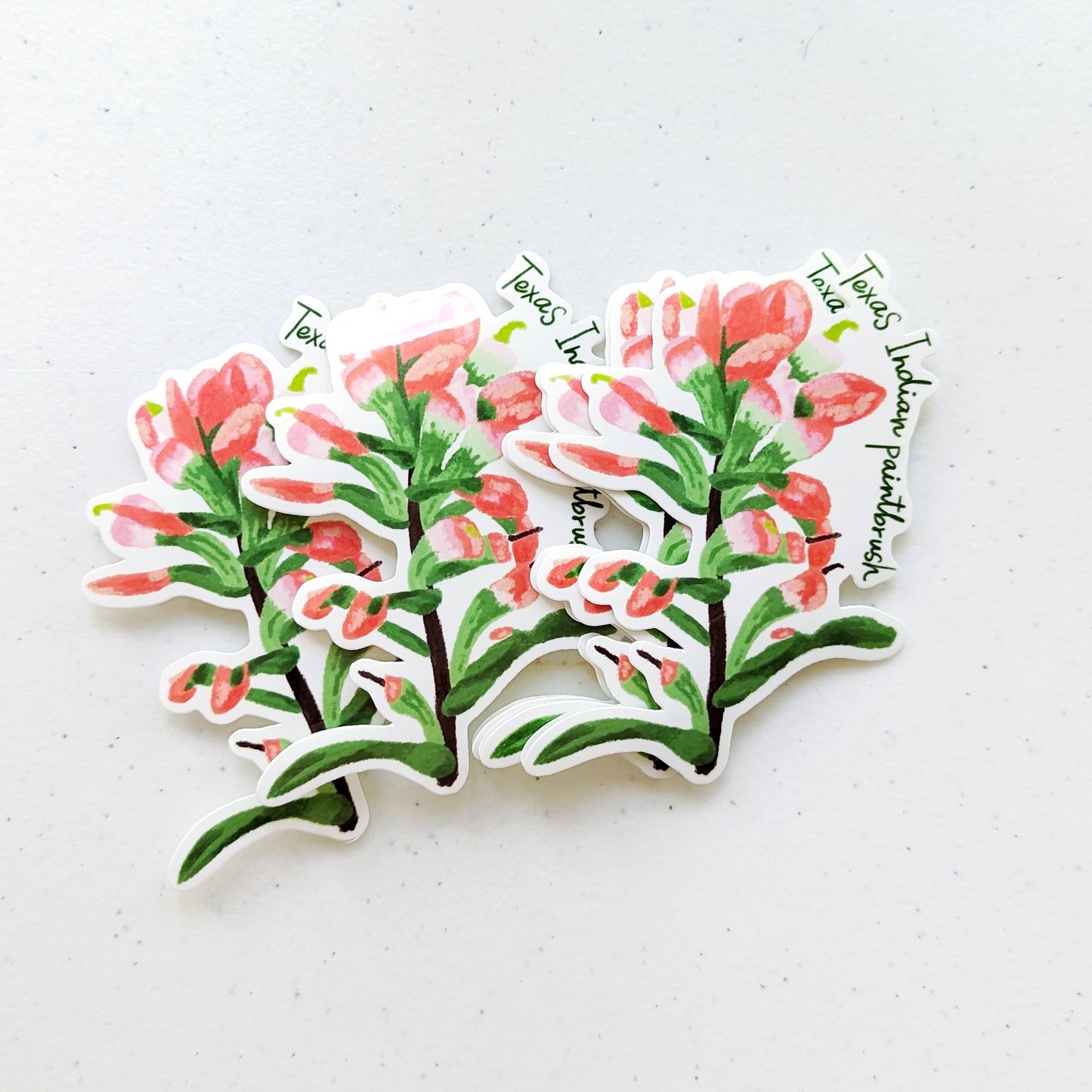 Texas Wildflower Stickers