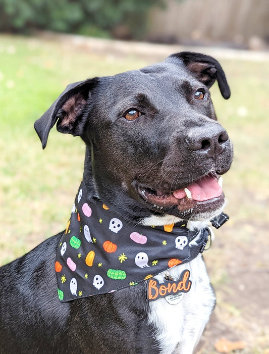 Halloween Dog Bandana – Double-Sided, Waterproof, Adjustable Buckle | Kawaii Ghost, Pumpkin, Skull & Star Pattern