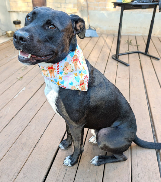 Christmas season Dog Bandana – Double-Sided, Waterproof, Adjustable Buckle