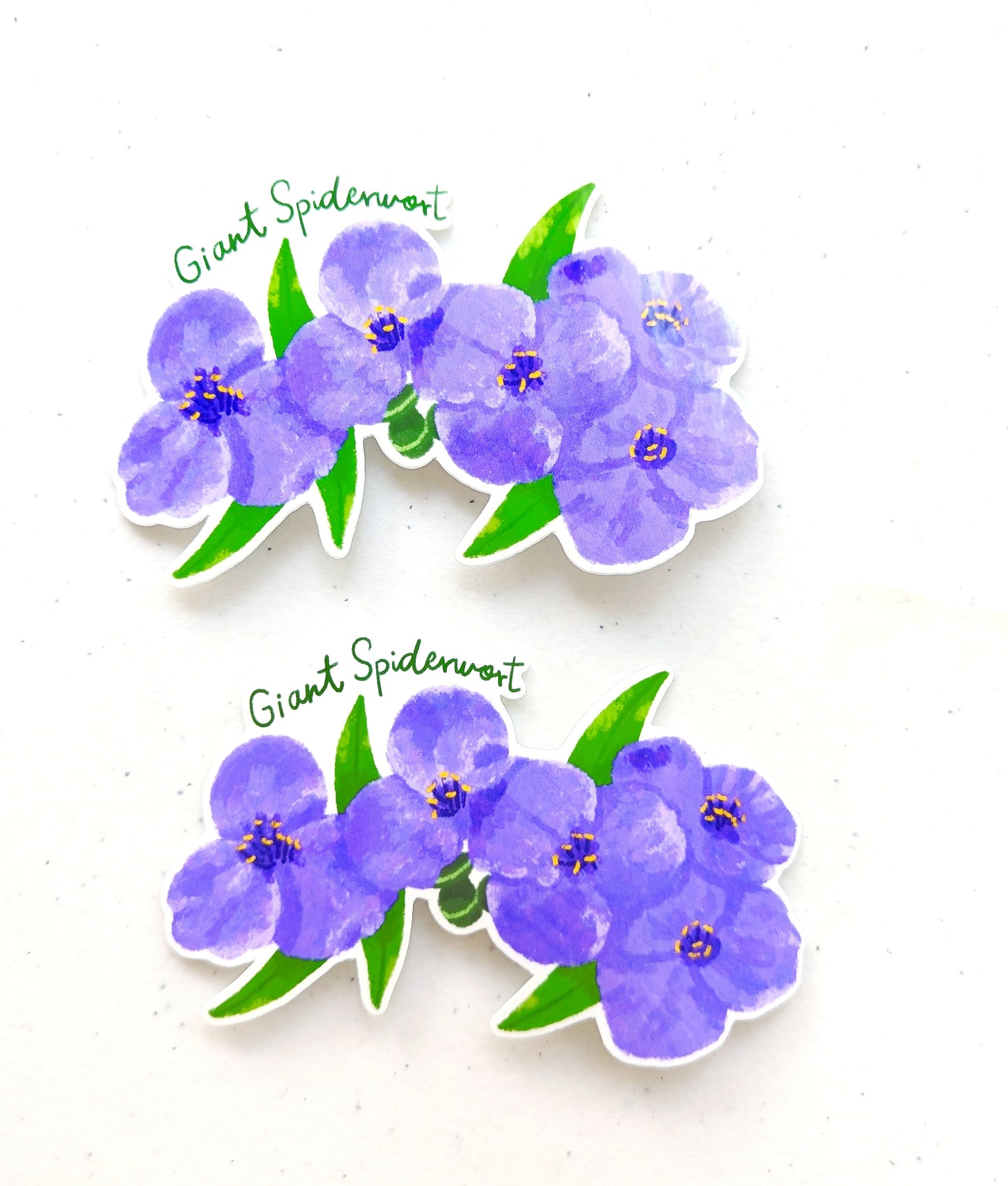 Texas Wildflower Stickers