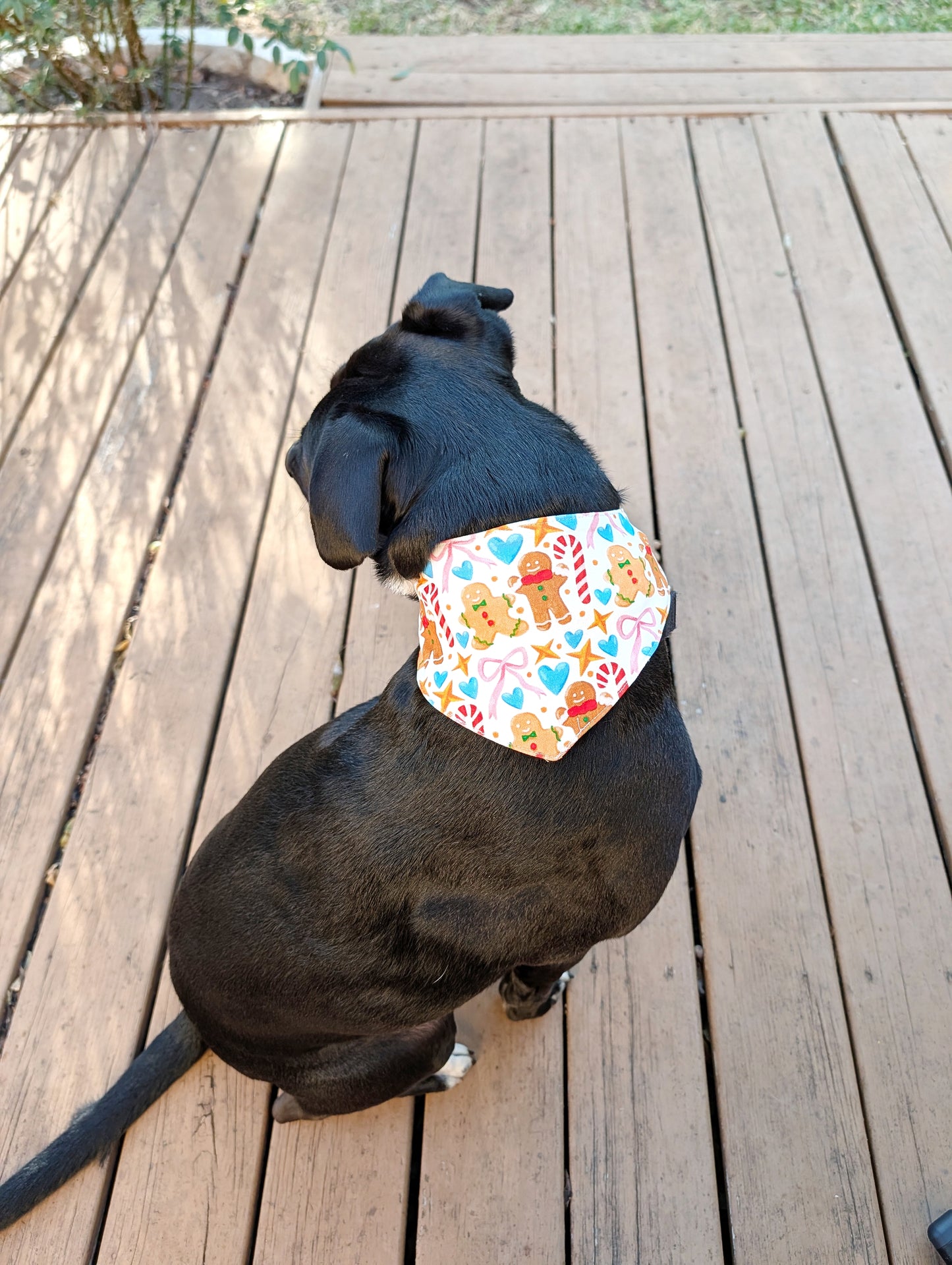 Christmas season Dog Bandana – Double-Sided, Waterproof, Adjustable Buckle