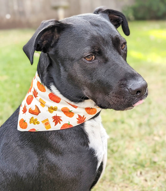 Autumn season Pet Bandana-Pumpkin, pie, Fall