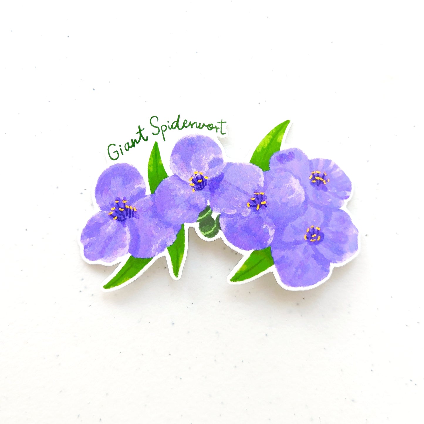Texas Wildflower Stickers