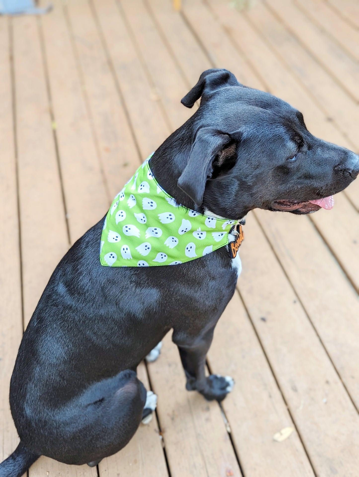 Halloween Dog Bandana – Double-Sided, Waterproof, Adjustable Buckle | Ghost Pattern