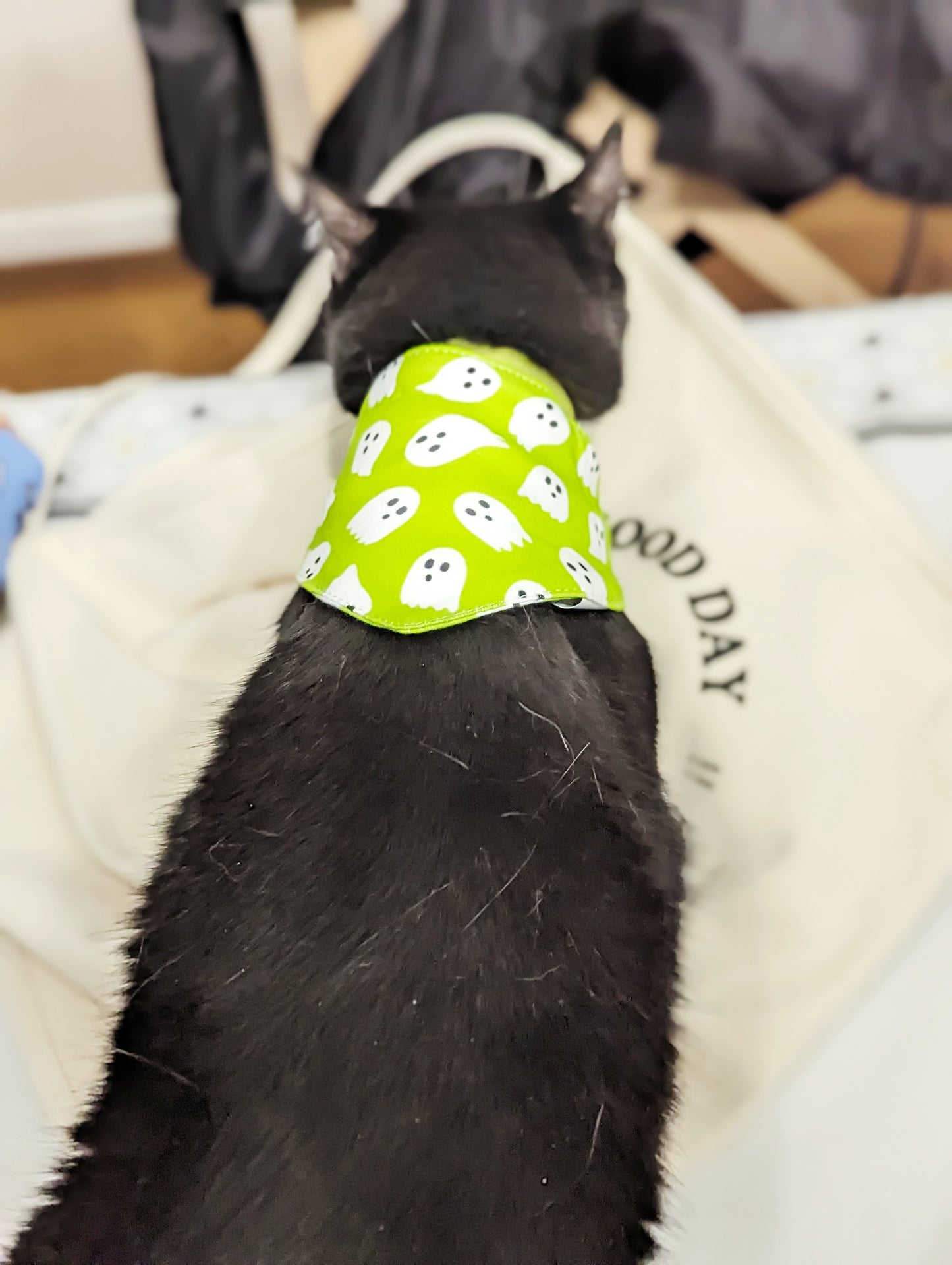 Halloween Pet Bandana-Ghost