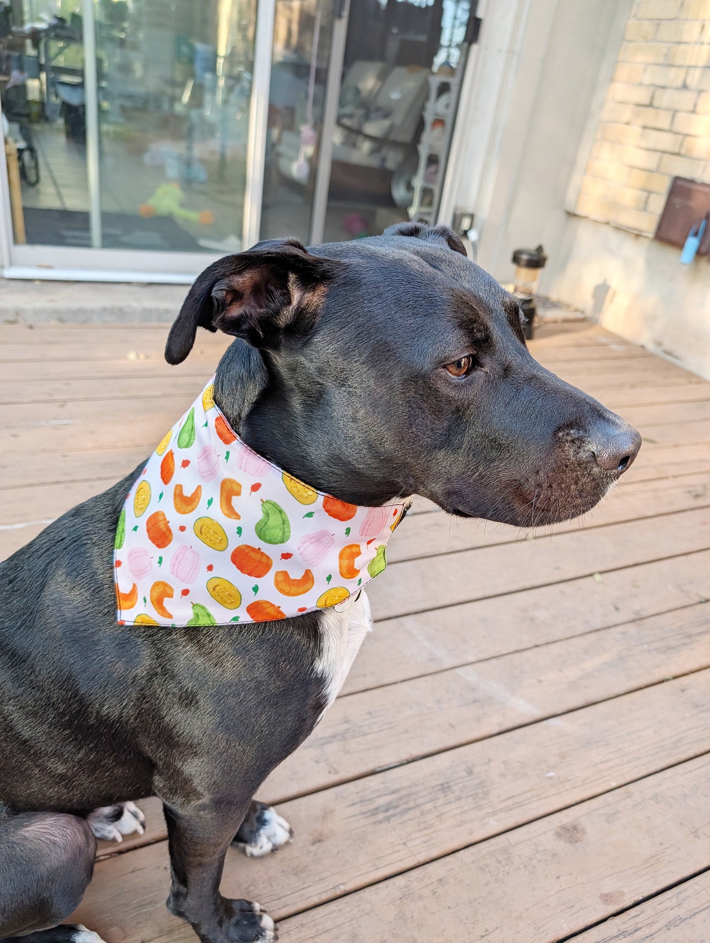 Autumn to Winter Dog Bandana – Double-Sided, Waterproof, Adjustable Buckle
