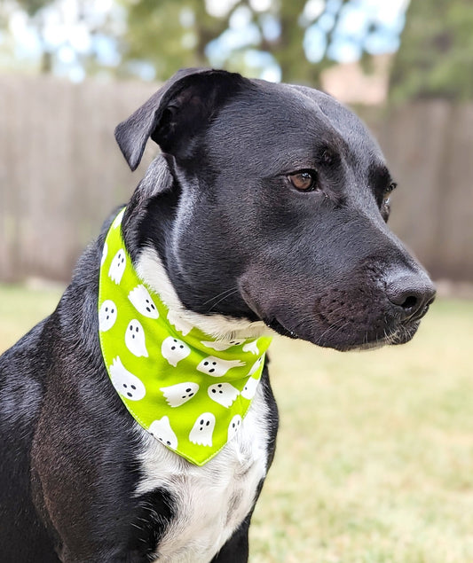 Halloween Pet Bandana-Ghost