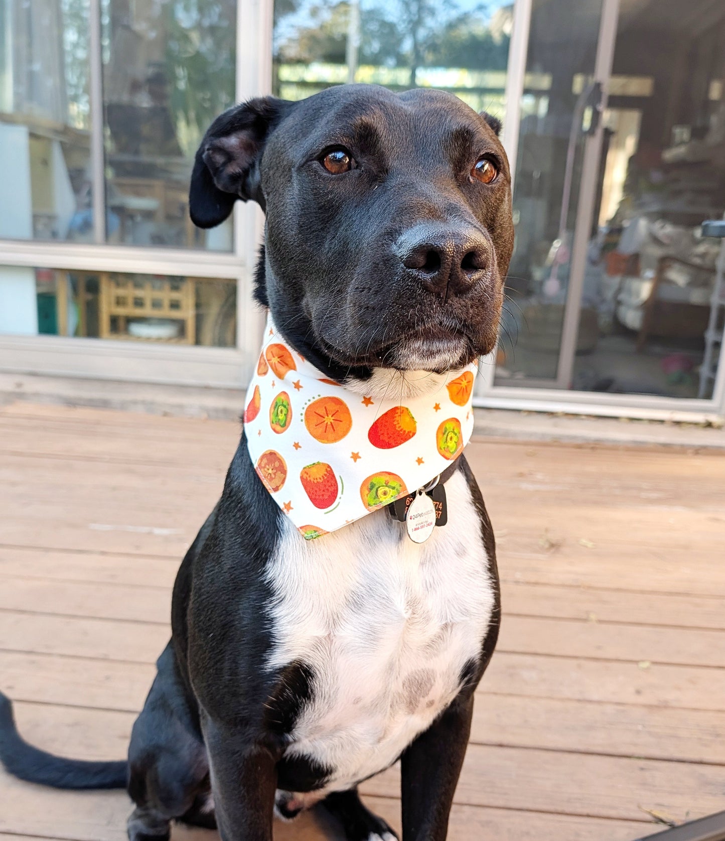 Autumn to Winter Dog Bandana – Double-Sided, Waterproof, Adjustable Buckle