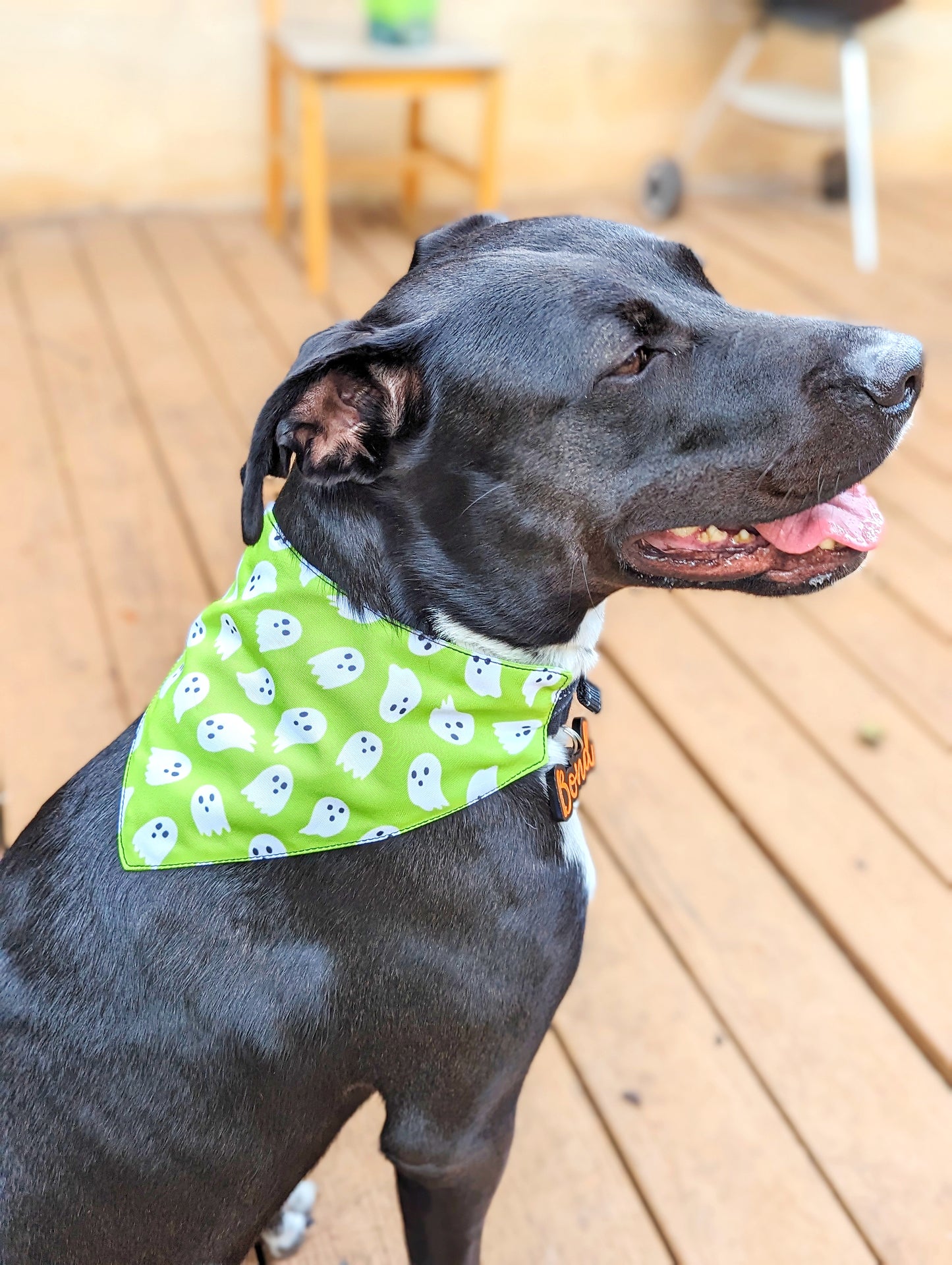Halloween Dog Bandana – Double-Sided, Waterproof, Adjustable Buckle | Ghost Pattern