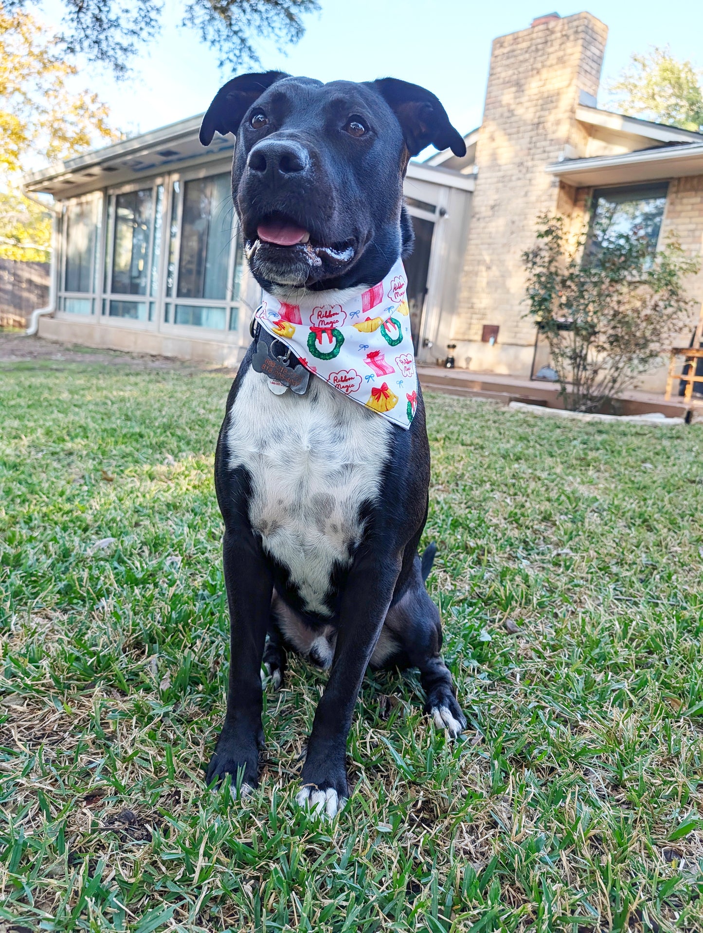 Christmas season Dog Bandana – Double-Sided, Waterproof, Adjustable Buckle