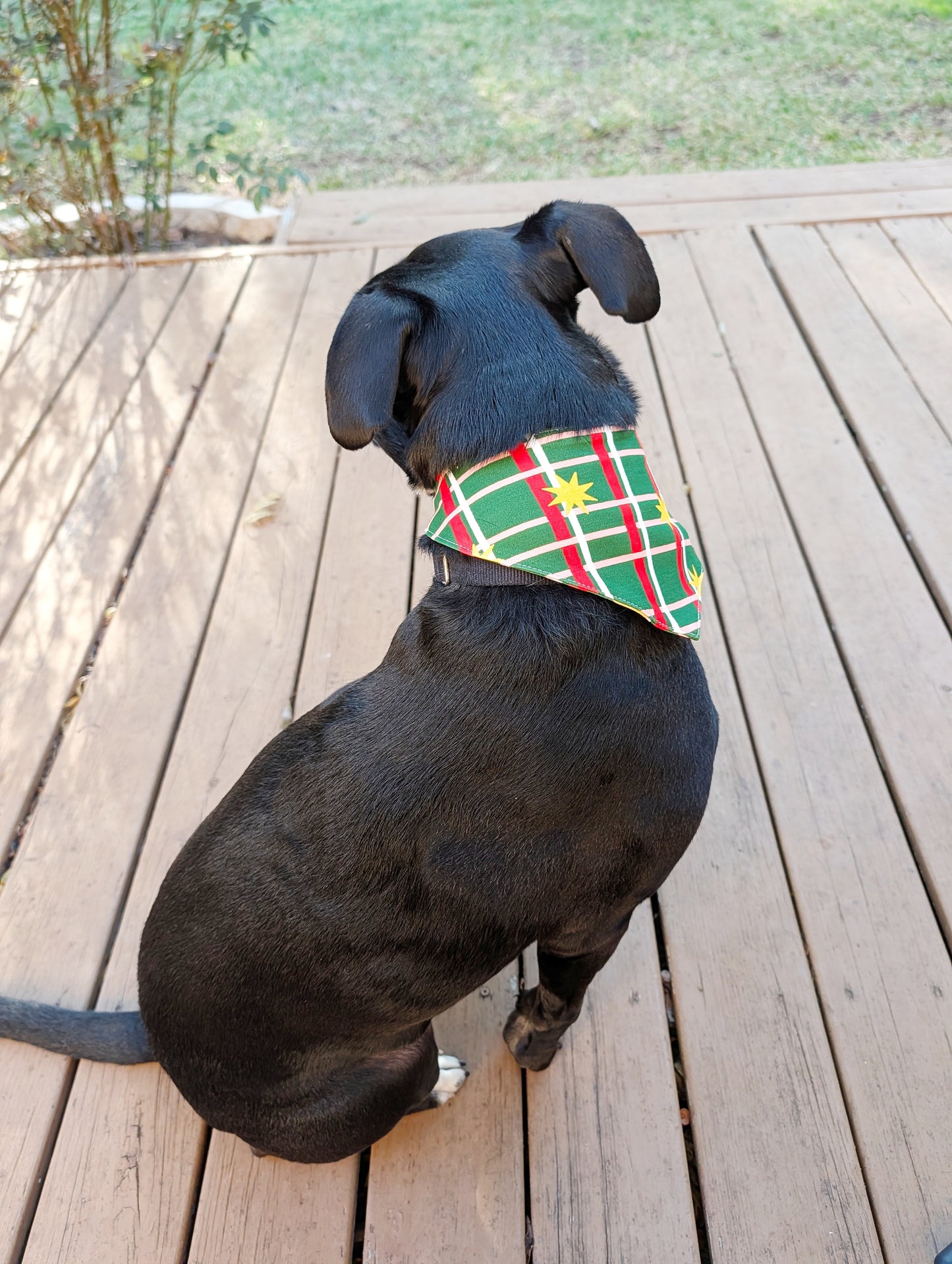 Christmas season Pet Bandana