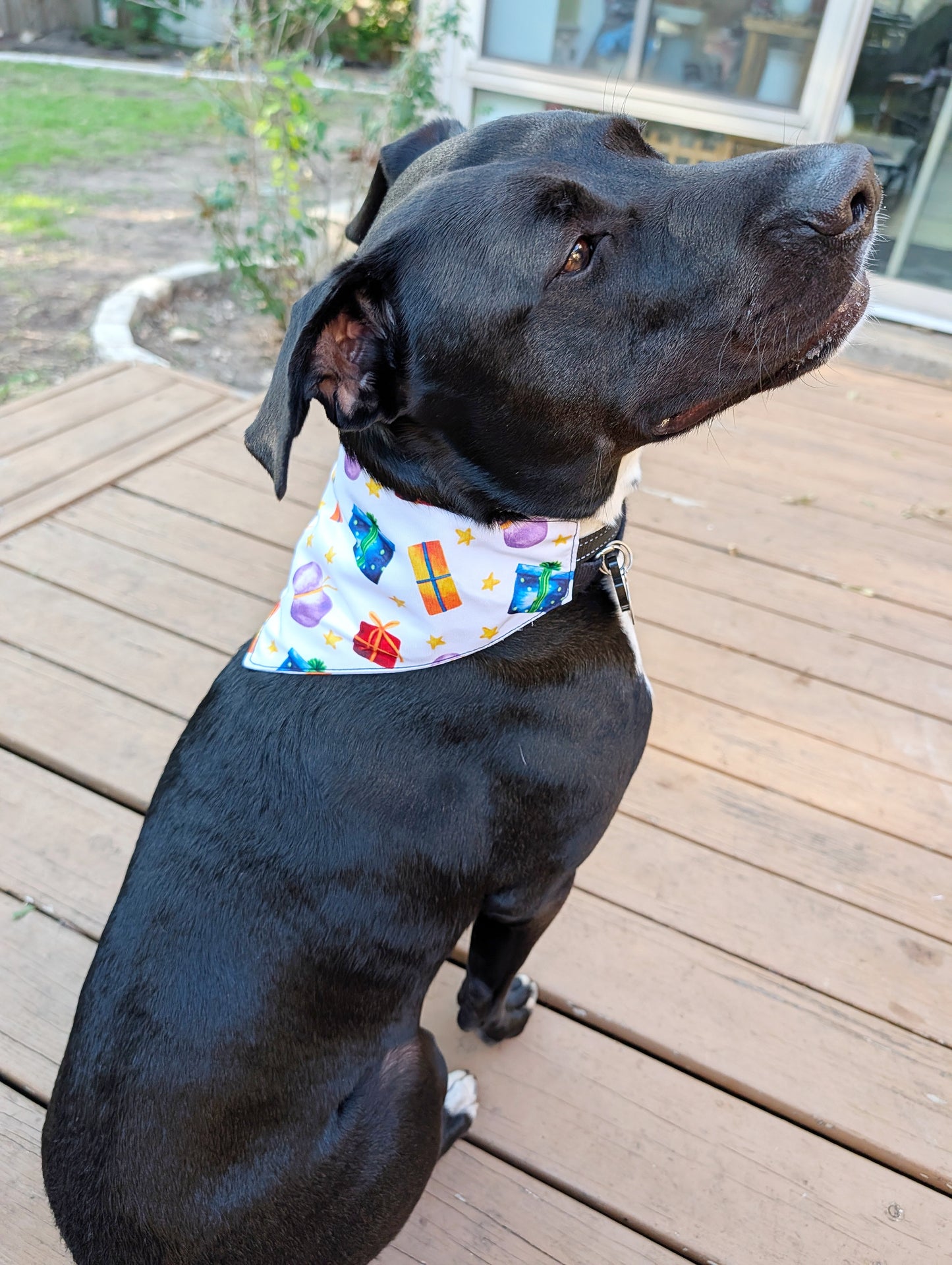 Christmas season Dog Bandana – Double-Sided, Waterproof, Adjustable Buckle