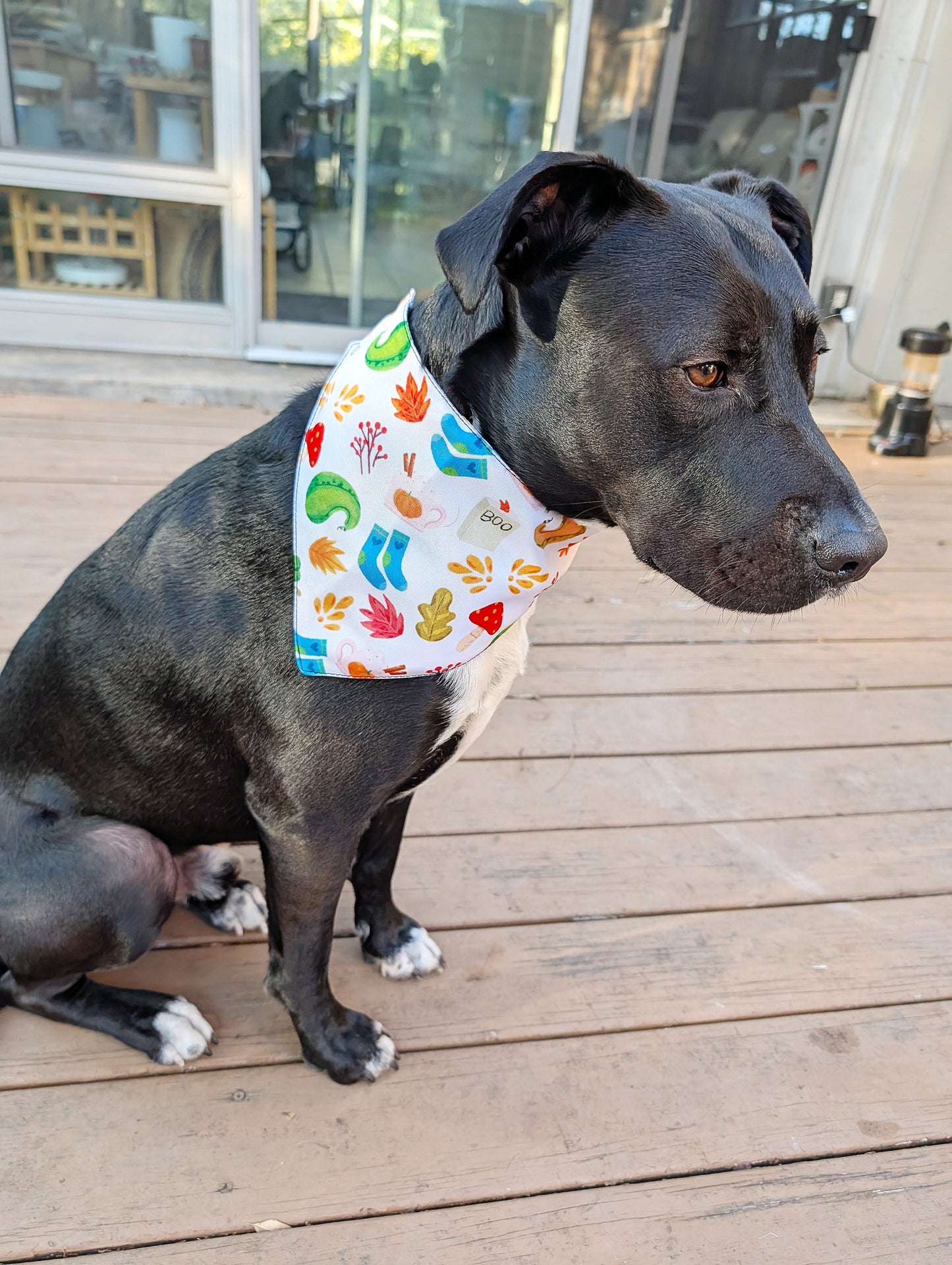 Autumn to Winter Dog Bandana – Double-Sided, Waterproof, Adjustable Buckle