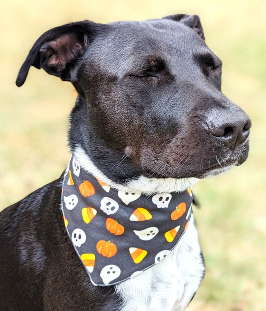 Halloween Pet Bandana-Pumpkin, Ghost, Skull