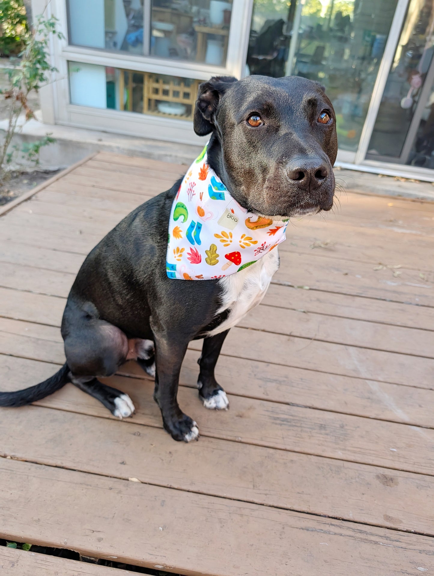 Autumn to Winter Dog Bandana – Double-Sided, Waterproof, Adjustable Buckle