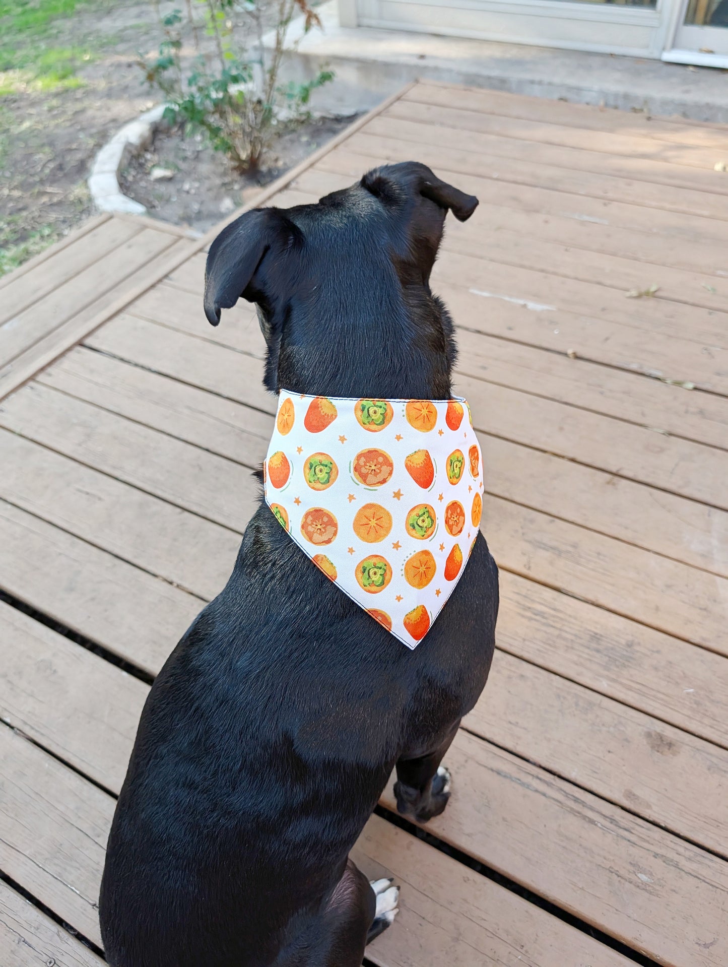 Autumn to Winter Dog Bandana – Double-Sided, Waterproof, Adjustable Buckle