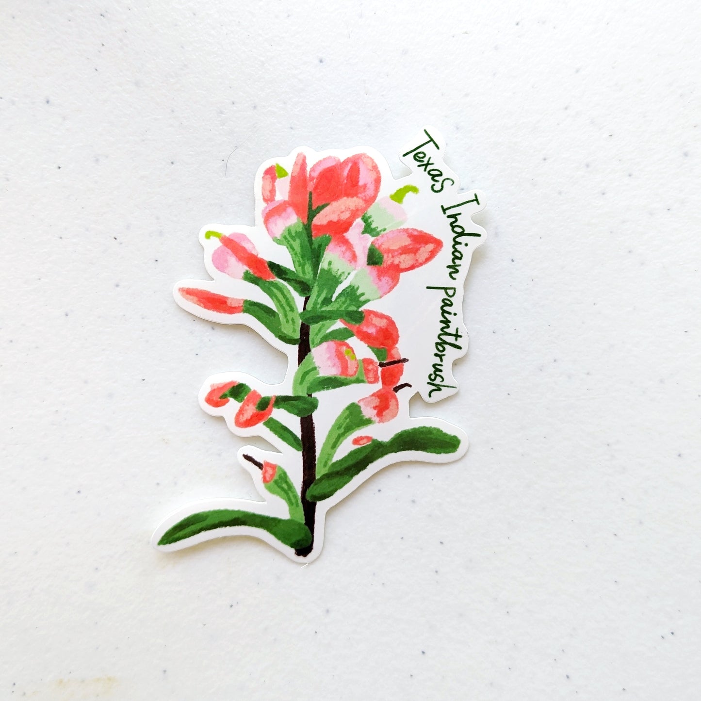 Texas Wildflower Stickers