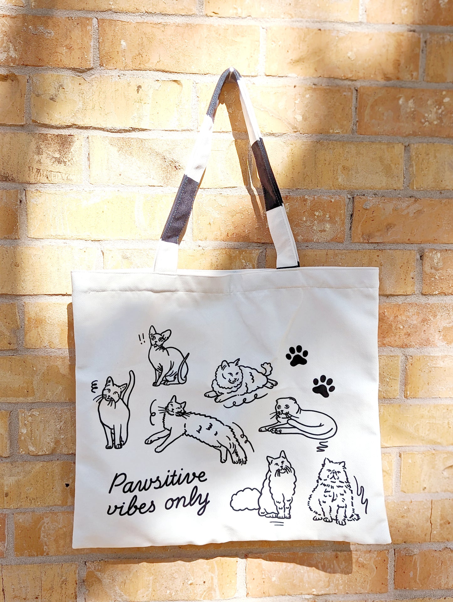 Large Cat Soft Bag