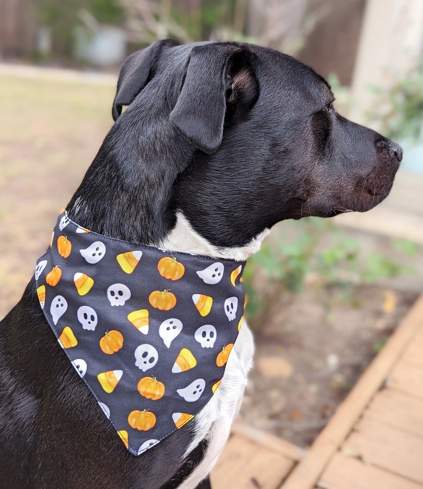 Halloween Dog Bandana – Double-Sided, Waterproof, Adjustable Buckle | Ghost, Pumpkin & Skull Pattern