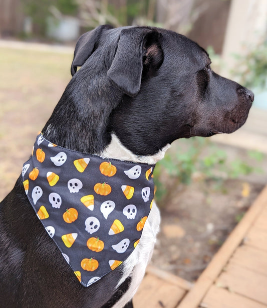 Halloween Dog Bandana – Double-Sided, Waterproof, Adjustable Buckle | Ghost, Pumpkin & Skull Pattern